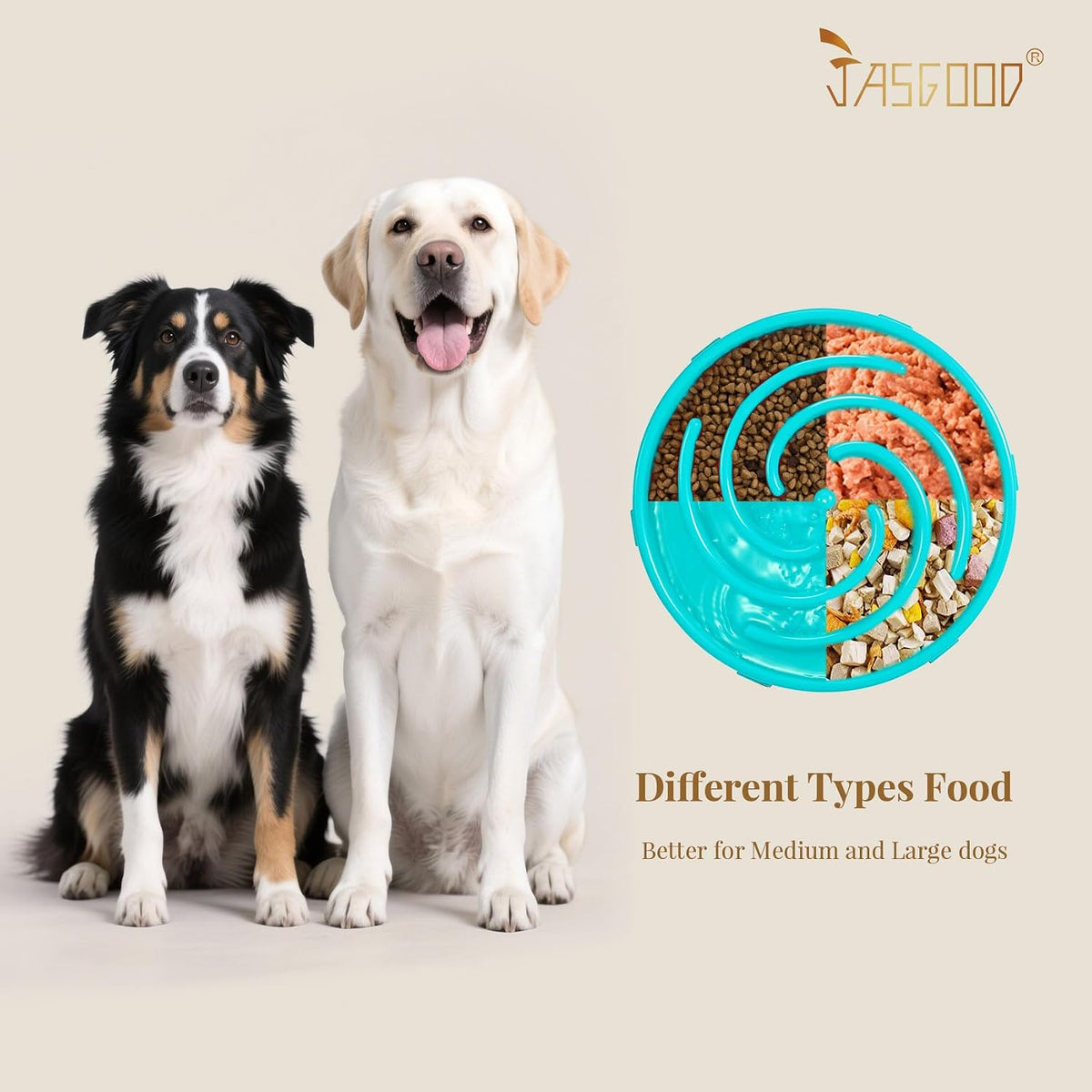 Engaging Slow Feeder Bowl for Large and Medium Dogs - Anti-Gulping Design to Prevent Choking and Bloating