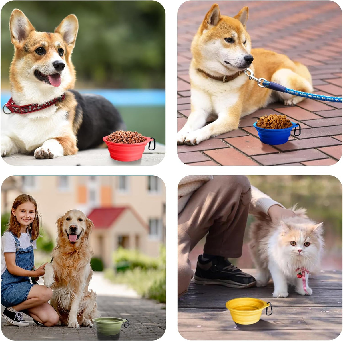 Ultimate 2-Pack Collapsible Dog Bowls: Portable, BPA-Free, Dishwasher Safe Travel Feeding Cups in Army Green & Blue